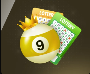 金蛇纳福金刚官网入口